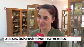 Patoloji Demonstrasyon Salonumuz Yenilendi Gelin Birlikte Gezelim [upl. by Kassandra728]