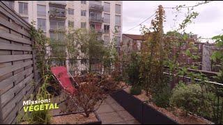 Aménagement terrasse  installer un brise vue pour balcon  Mission Végétal  M6 [upl. by Chad]