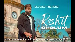 ishfaq Kawa new kashmiri song slowed reverb sad song status [upl. by Leverick]