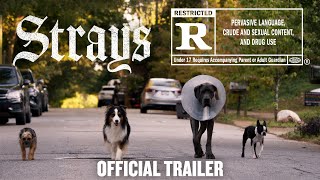 Strays  Official Trailer HD [upl. by Nahem787]