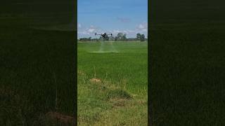 Insecticide spraying agriculturedrone farming drone djidrone dji t40 [upl. by Reynard]