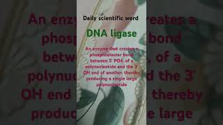 DNA ligase biology enzymes enzyme biochemistry biotechnology genetics shorts trending viral [upl. by Siuqram]