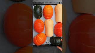 How To Make Pumpkin Puree [upl. by Ailhad794]