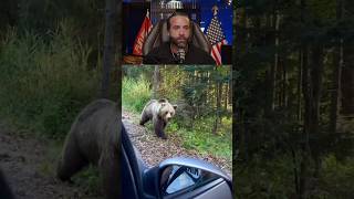 Man Tries to Feed a Grizzly BearInstantly Regrets It [upl. by Ainaznat]