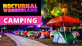 8 Reasons Why You Should Camp at Nocturnal Wonderland 2021 [upl. by Eecart]