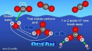 How Does Carbon Dioxide Enter Sea Water  Earth Science [upl. by Mastic]