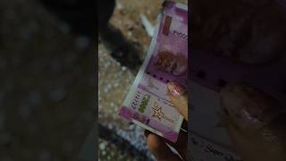 Money bank bomb diwalicelebration diwalicrackers diwali fireworks sivakasi [upl. by Eirlav]