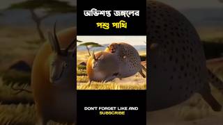 Fat Animals Funny Animation Story Bangla explain shorts movie explain [upl. by Landri96]