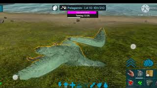 how to tame pelagornis in ark Mobile by destroyders [upl. by Retha]