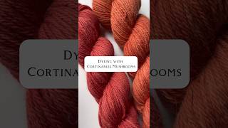 Let’s Do a Natural Dye with Cortinarius Mushrooms mushroom dyeing fungi diy naturaldye [upl. by Htevi]