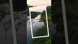 Ichamati river nature song music shortvideo travel morning [upl. by Ahpla]