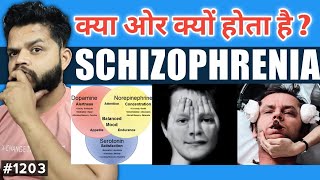 Schizophrenia Explained In Hindi  Schizophrenia Causes Symptoms Diagnosis amp Treatment [upl. by Epoillac]