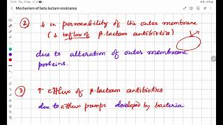 Mechanism of Beta Lactam antibiotics resistance [upl. by Arval]