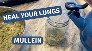 Boost Your Lung Health Naturally A StepbyStep Guide to Making Mullein Tea [upl. by Llenol]