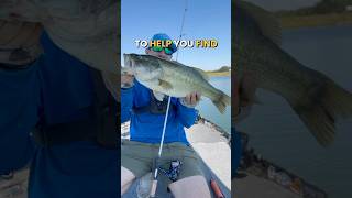 3 Top Wintertime Baits for Catching Bass fishing [upl. by Mazel64]