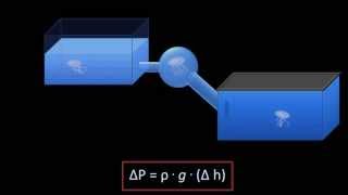 Hydrostatic Pressure Fluid Mechanics  Lesson 3 [upl. by Airdnaed]