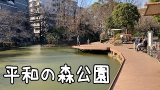 平和の森公園で釣り【東京】 [upl. by Ivatts817]