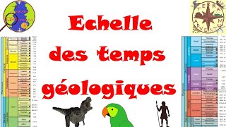 Léchelle des temps géologiques Minute géologique 13 [upl. by Yekim279]