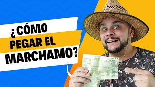 ¿Cómo pegar el marchamo correctamente [upl. by Tamma64]