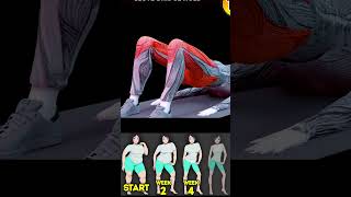 10 BEST WEIGHT LOSS EXERCISES TO DO AT HOME workout4d [upl. by Wincer]