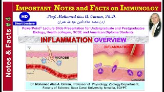 IMPORTANT NOTES and FACTS on IMMUNOLGY  INFLAMMATION OVERVIEW [upl. by Llyrrad]