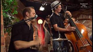 Sportfreunde Stiller feat Pelzig  Alles Roger live 2009 HD 0815007 [upl. by Adnarym]