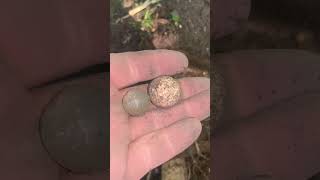 clay marble amp codd marbles found bottle digging Glasgow Scotland [upl. by Olfe]