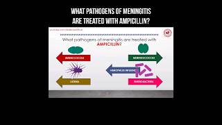 What pathogens of meningitis are treated with ampicillin antibiotics ampicillin pharmacology [upl. by Metabel]