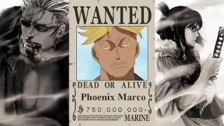 One Piece Top 50 Bounty fake and real [upl. by Alilad26]