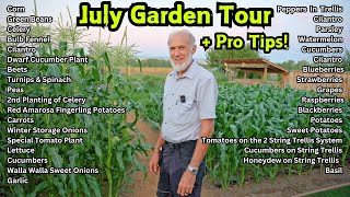 World Record Vegetable Growers Garden Tour – July Edition Secrets To Lush Organic Gardening [upl. by Daffi]