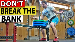 Best Budget Belt Squat Fringe Sport Mammoth Belt Squat Review [upl. by Dreda467]