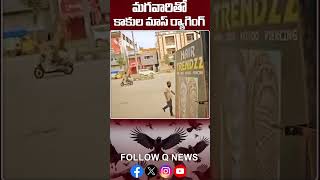 Crows Playing With Men viralvideo funnyvideo sirisilla qnewshd shorts [upl. by Eymaj]