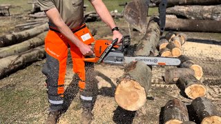 Stihl vs Husqvarna  Chainsaw Comparison Firewood [upl. by Eima875]