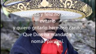 Hermoso cariño Vicente Fernandez con letra [upl. by Kissel]