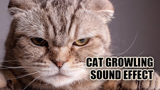 Cat Growling Sound Effect 😺 Cat Sounds [upl. by Okiman818]