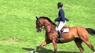 Rodrigo Pessoa amp JORDAN II  CSI 5 Dinard 2015 1m55 Prix Suez Environnement [upl. by Mcdermott]