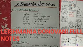 Leishmania donovani full notes [upl. by Ozan]