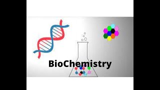 Amino acids  Classification and structure in Tamil [upl. by Attecnoc759]