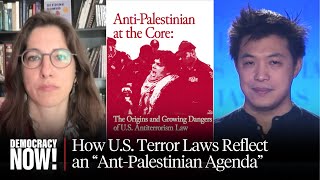 US Terrorism Laws Are quotAntiPalestinian at the Corequot Chill First Amendment [upl. by Ytteb]