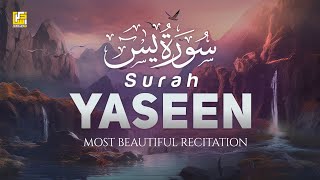 Most Beautiful amp Peaceful Recitation of Surah Yasin Yaseen سورة يس  Zikrullah TV [upl. by Caves]