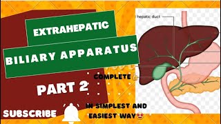 Extrahepatic biliary apparatus  Part 2  complete ayeshamedicaleducation [upl. by Mairhpe]