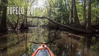 Congaree National Park 101824 [upl. by Aikehs]