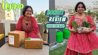 New Plants amp Seeds From Ugaoocom  Ugaoo Plants Review  Terrace Gardening vlog 6 notsponsored [upl. by Antipus]