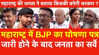 Maharashtra में BJP का घोषणा जारी होने केबाद Survey महाराष्ट्र की जनता ने बताया किसकी सरकार बनेगी [upl. by Latsyrhc655]