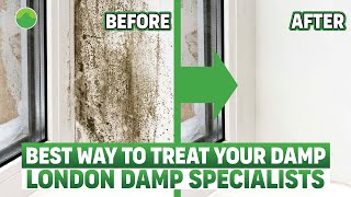 How To Effectively Treat Damp In Your House Solutions For Rising Penetrating amp Condensation [upl. by Jacklyn]