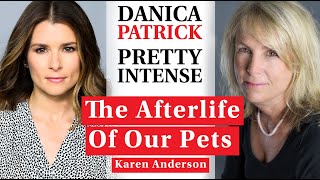 Karen Anderson  Pet Loss Euthanasia Animal Afterlife Communication In Dreams   Ep 228 [upl. by Haissem]