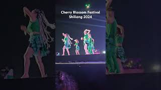 Cherry Blossom Festival 2024 Shillong dance dancevideo dancer musicfestival [upl. by Onirefes934]