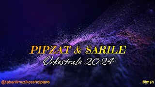 MARSEL MUZIKANTI  PIPZAT amp SARILE  2024  ORKESTRALE POPULLORE sarile [upl. by Ecitsuj320]