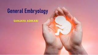 General Embryology [upl. by Jaquelyn]