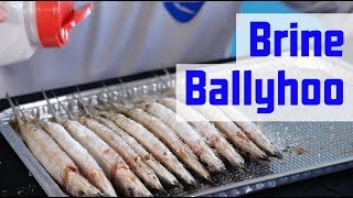 How to Prep Ballyhoo  How to Brine Baits [upl. by Inalial223]